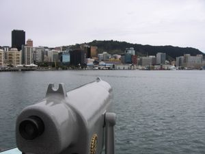 Wellington harbour